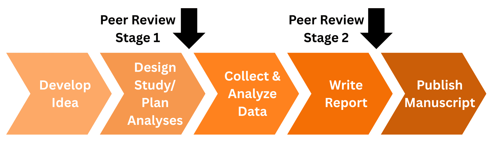 Registered Reports Process - Reproduced from the Centre for Open Science.